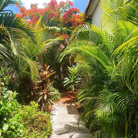 Villa Blue Lagoon Suite Apartment Lowlands ภายนอก รูปภาพ