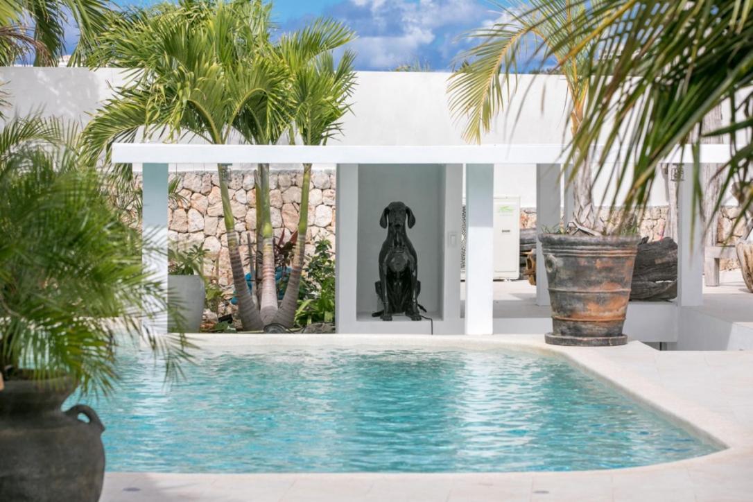 Villa Blue Lagoon Suite Apartment Lowlands ภายนอก รูปภาพ